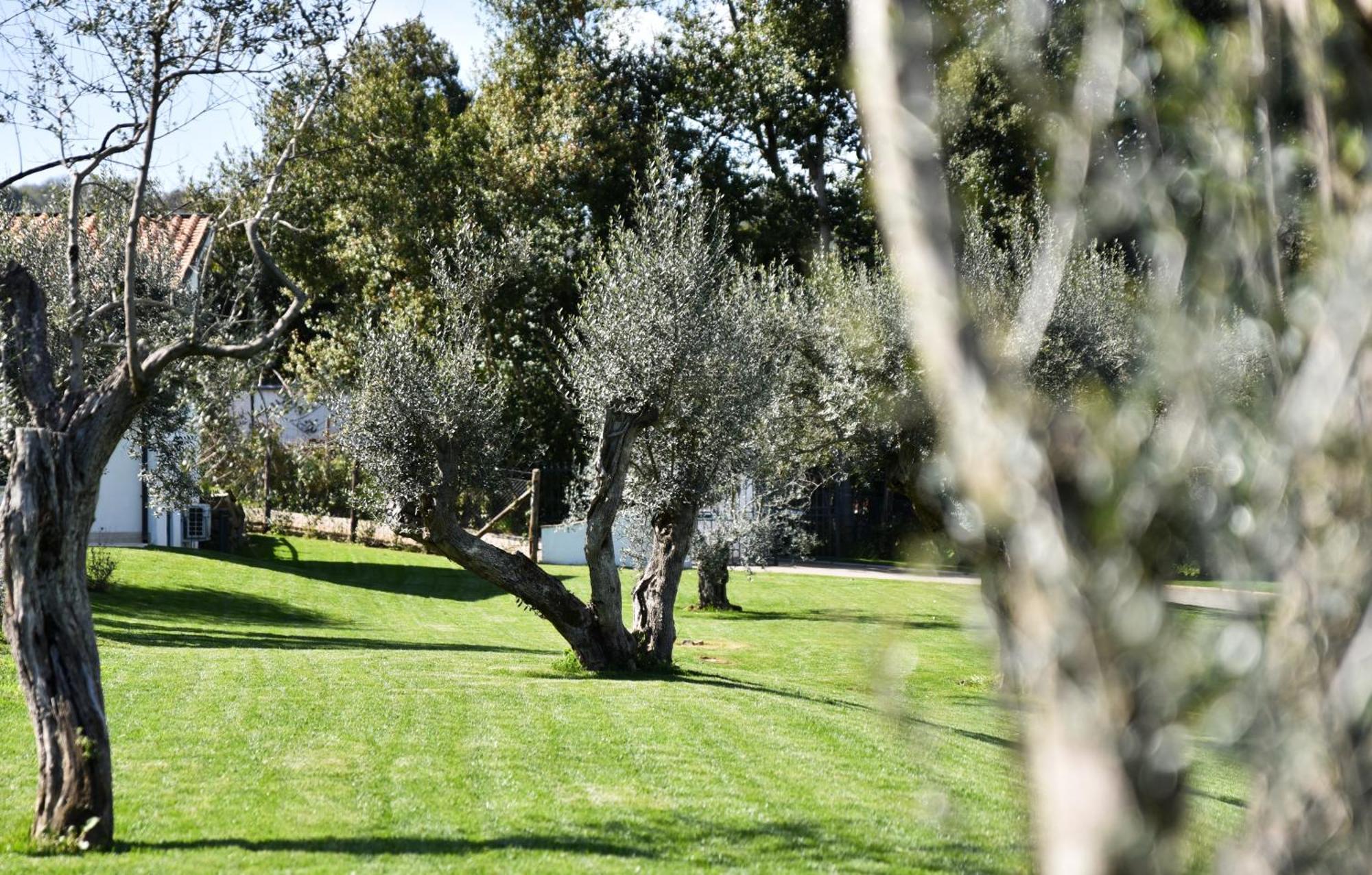 Vigna Caio Relais & Spa (Adults Only) Bracciano  Ngoại thất bức ảnh